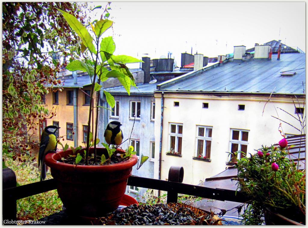 Globtroter Hostel *