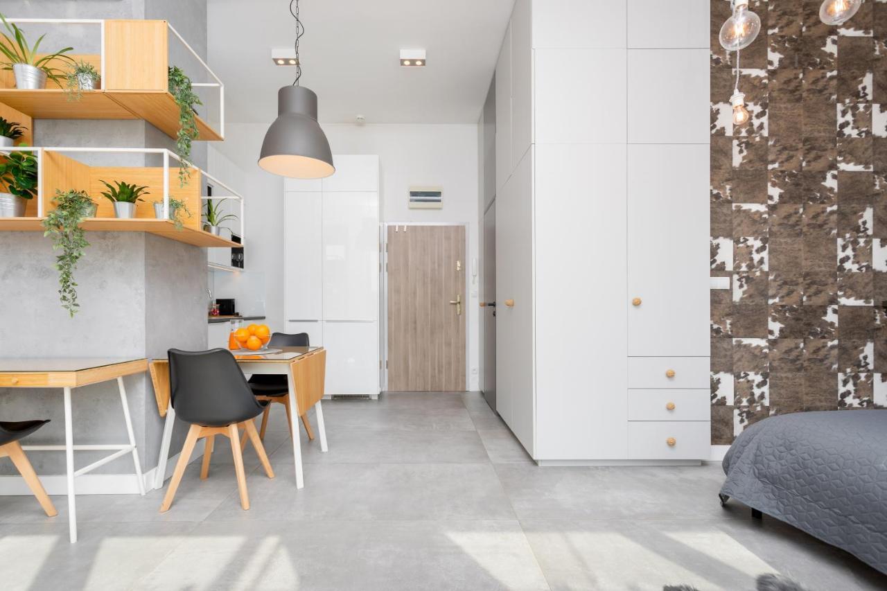 Apartament Loft