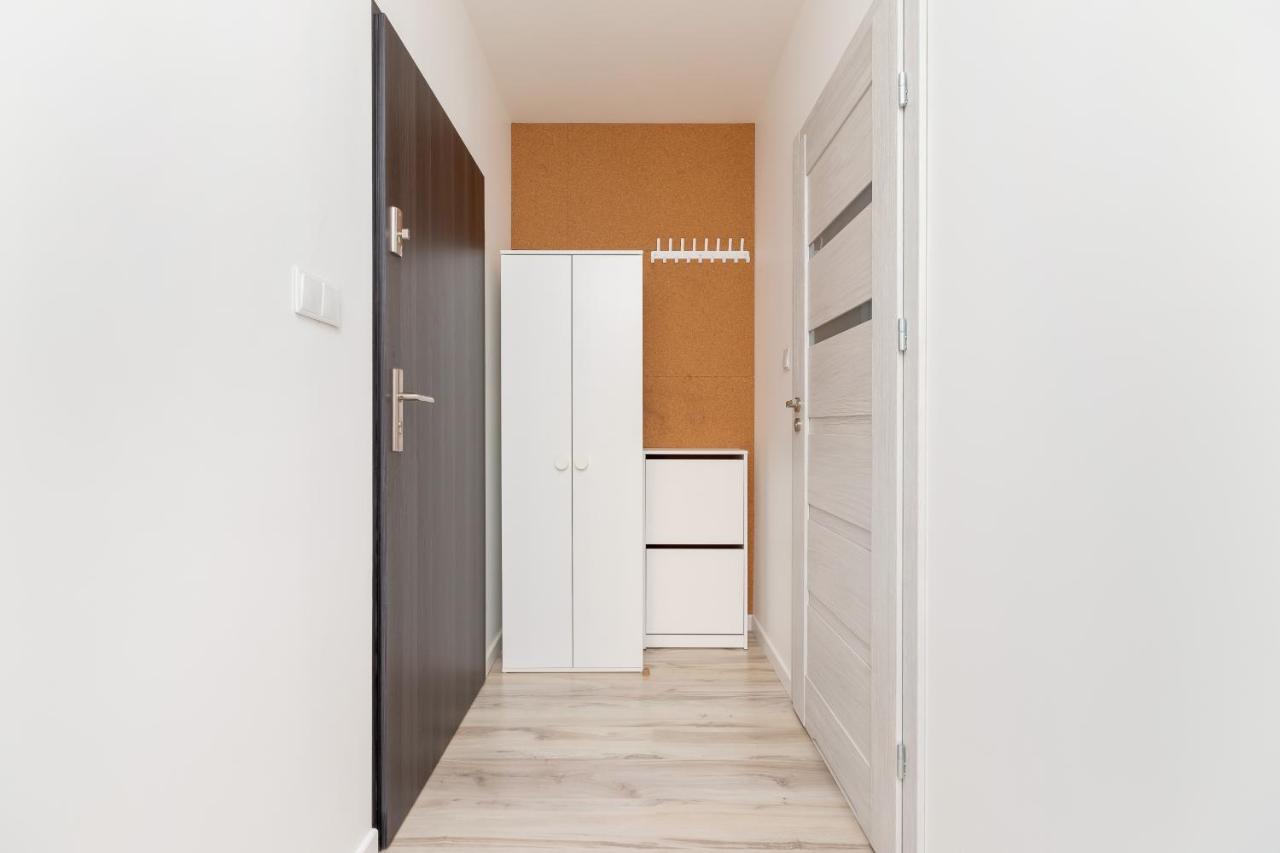 Salsa Cracow By Renters