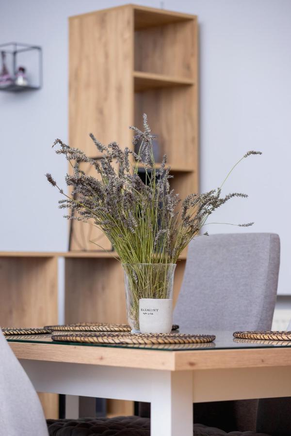 Podwale Uj Downtown Cracow By Renters Apartment Krakow