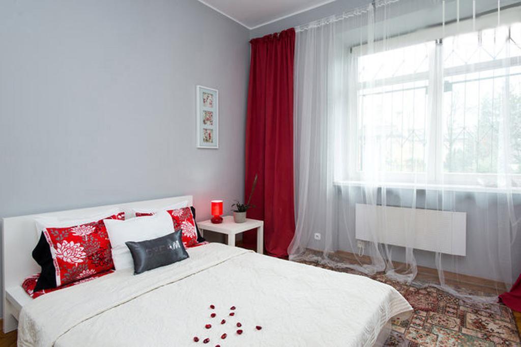 Amaryllis * Kraków
