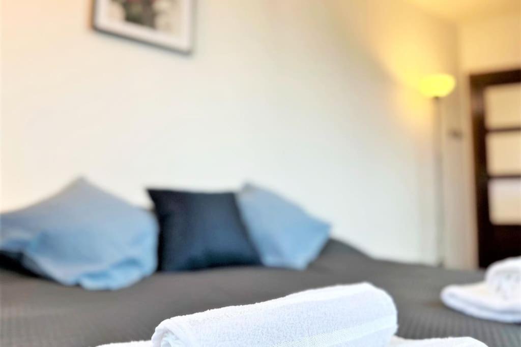 Exclusive Penthouse Near Citycenter 120m2 +netflix