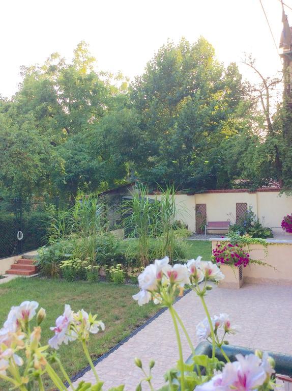 Apartament Amaryllis *