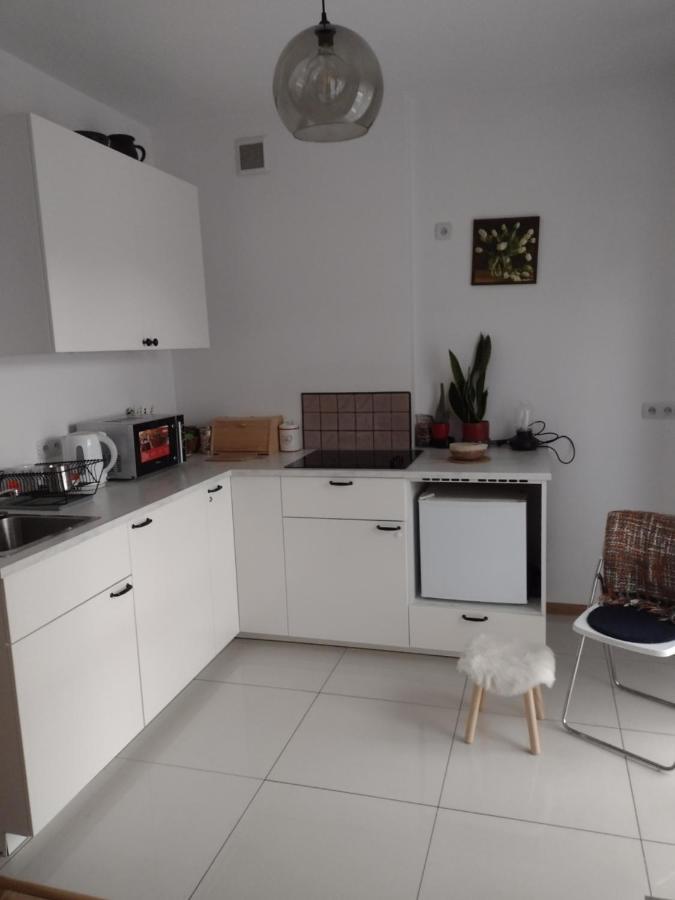 Joanna Apartment Krakow