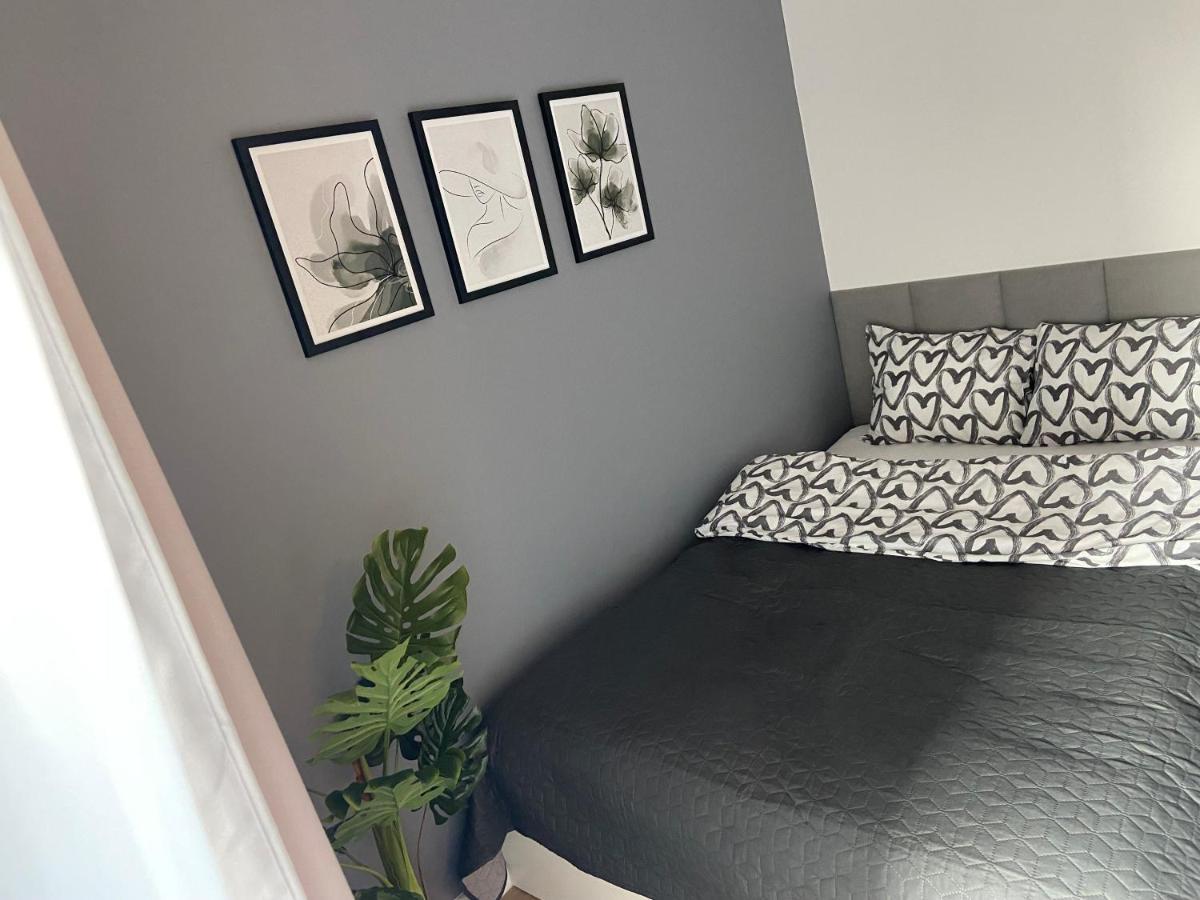 Apartment Dream *