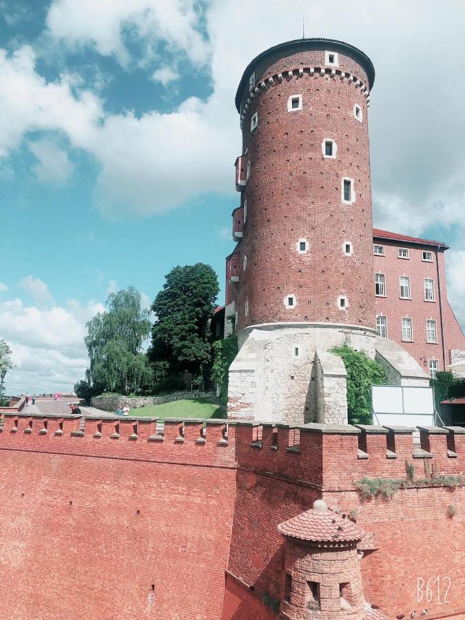 Luxury, With An Extraordinary View Of Wawel Castel Apartment