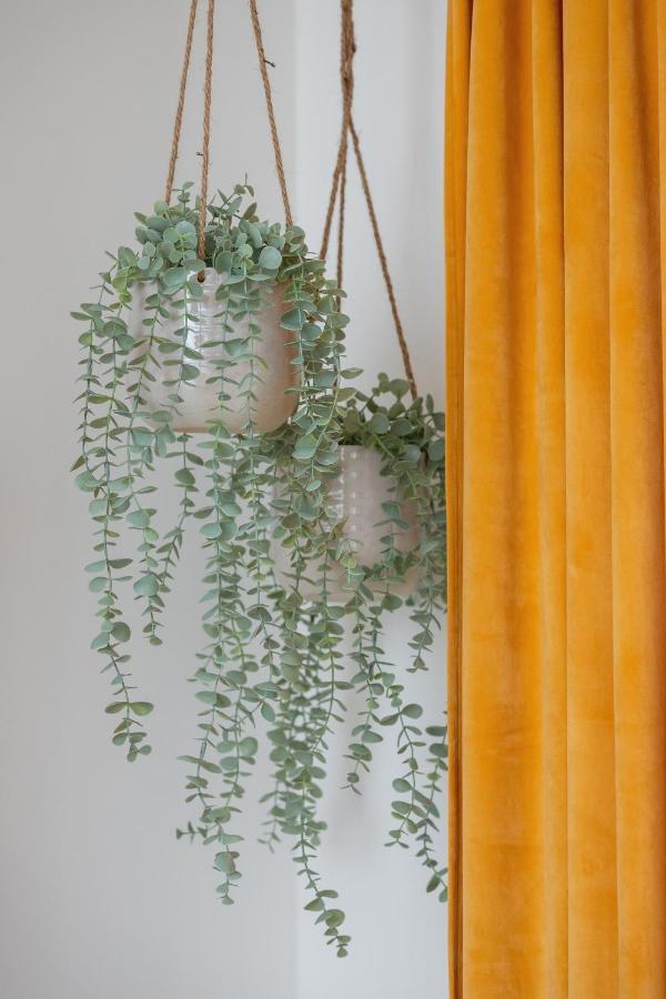 Studio With Ac Czarnowiejska By Renters Apartment Krakow
