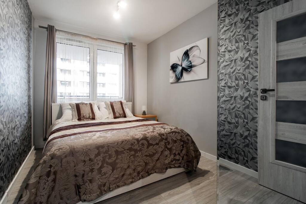 Butterfly 50m2 2 Downtown