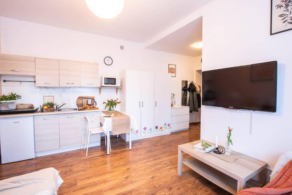 Studio Z Ogrodkiem I Altana Apartment