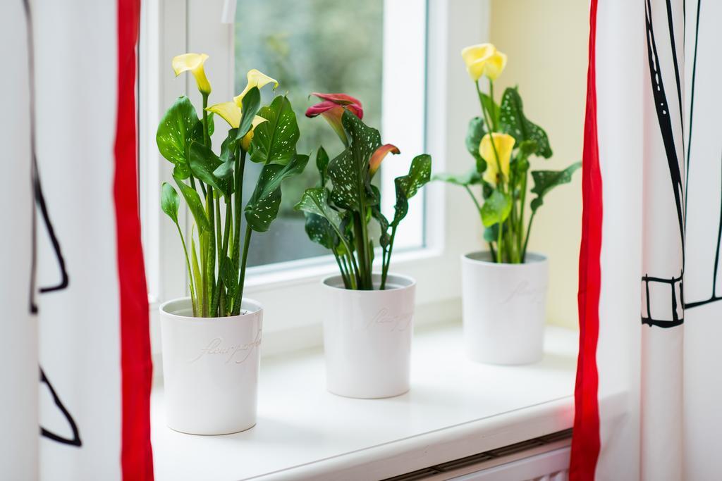 Style4rent Sunny Old Town Apartament *