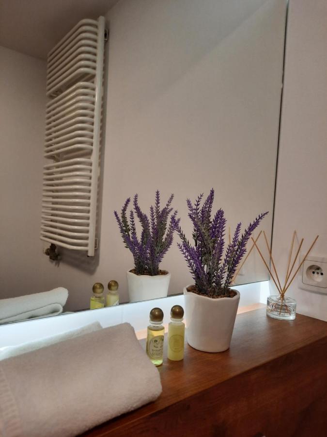 Exclusive Art Apartment Krakow