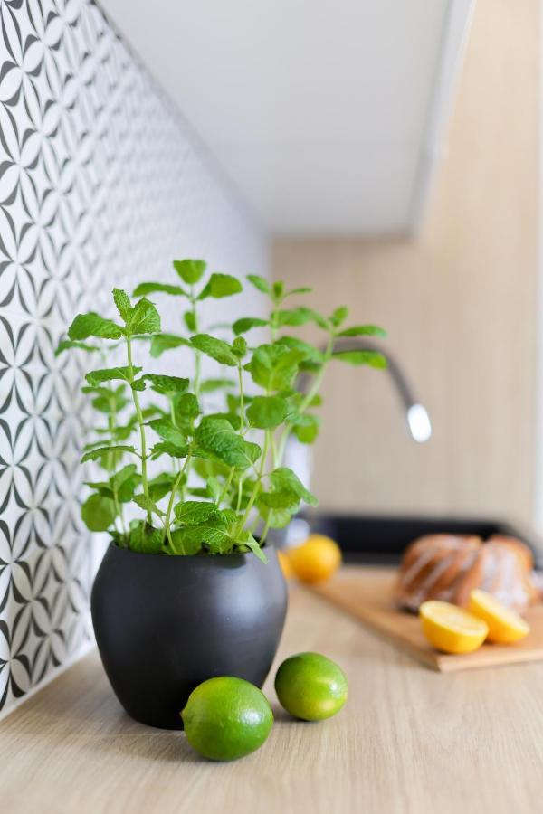 Meiera Apartament