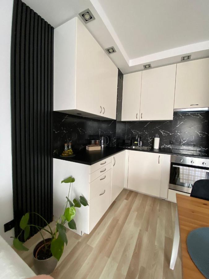 Apartment Przytulne Mieszkanie W Krakowie *
