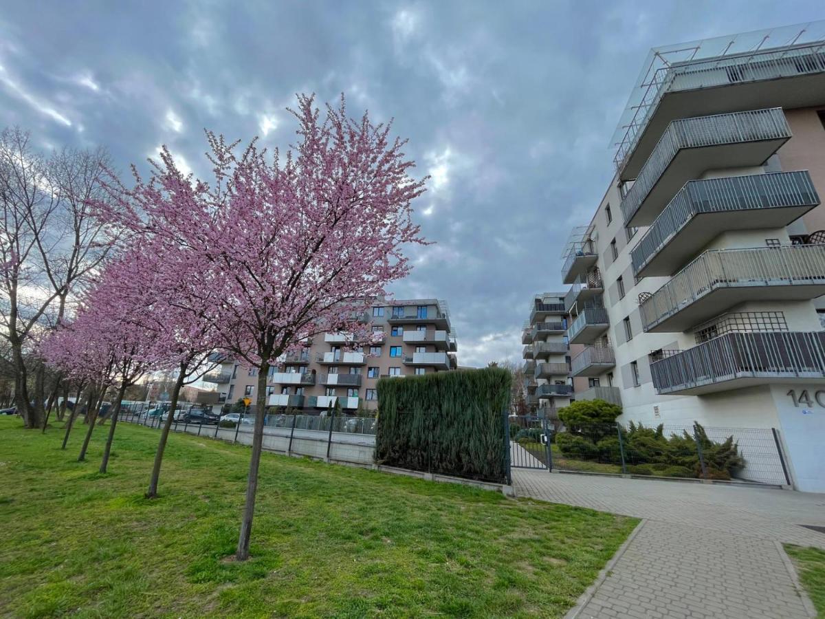 Apartment Mala Gora