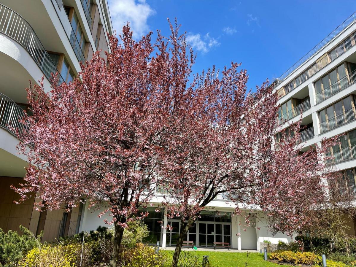 Exclusive In The Heart Of Apartament *