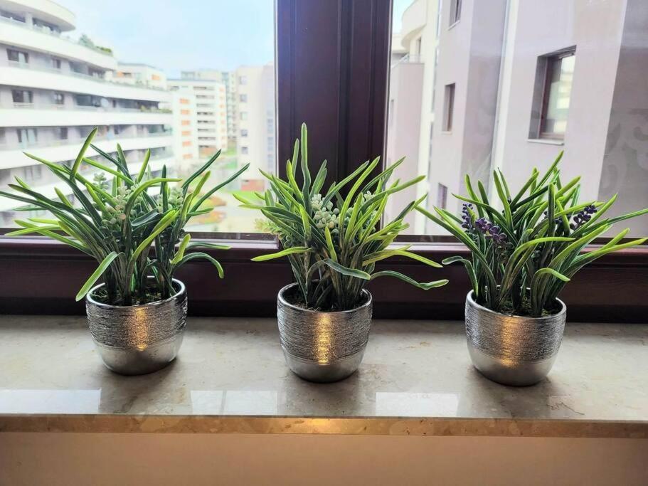 Sophie 3 Rooms, 2 Bathrooms, 8 Persons Apartment Krakau