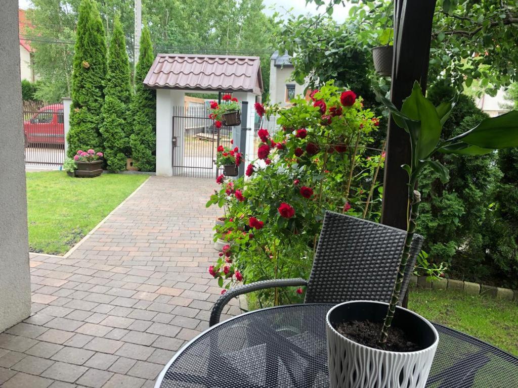 Apartament Sloneczny *