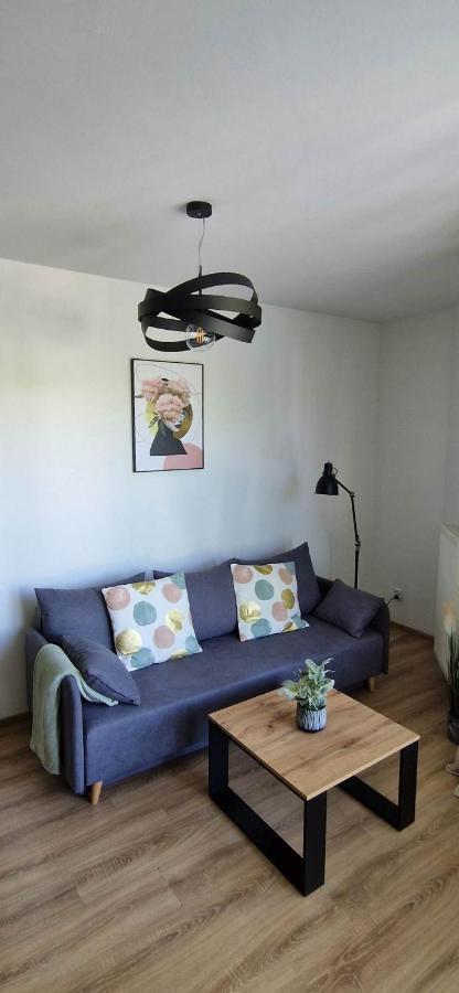 Apartment Cosy W Poblizu Tauron Arena *