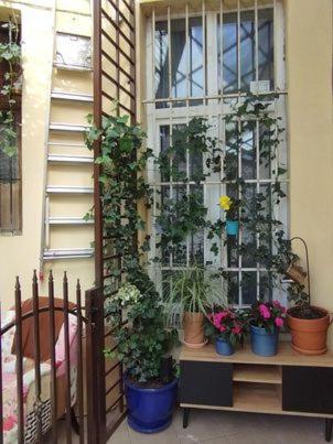 Appartement Miodowa Kazimierz