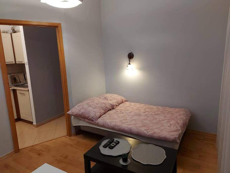 Homelyapartment Apartament Kraków