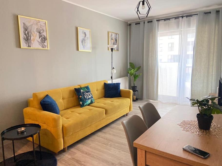Vetulaniego Canary Comfort Krakow