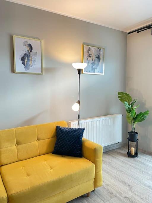 Vetulaniego Canary Comfort Krakow