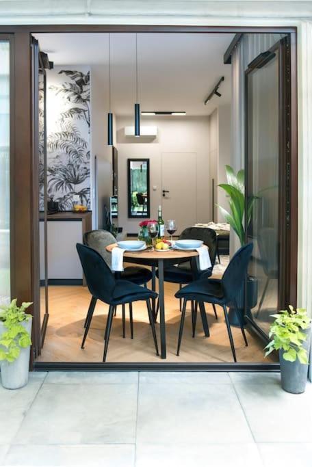 Jungle 4rent * Krakow