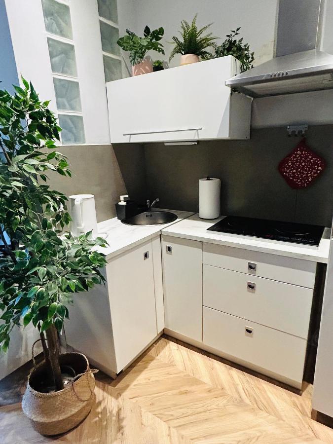 Appartement Dluga