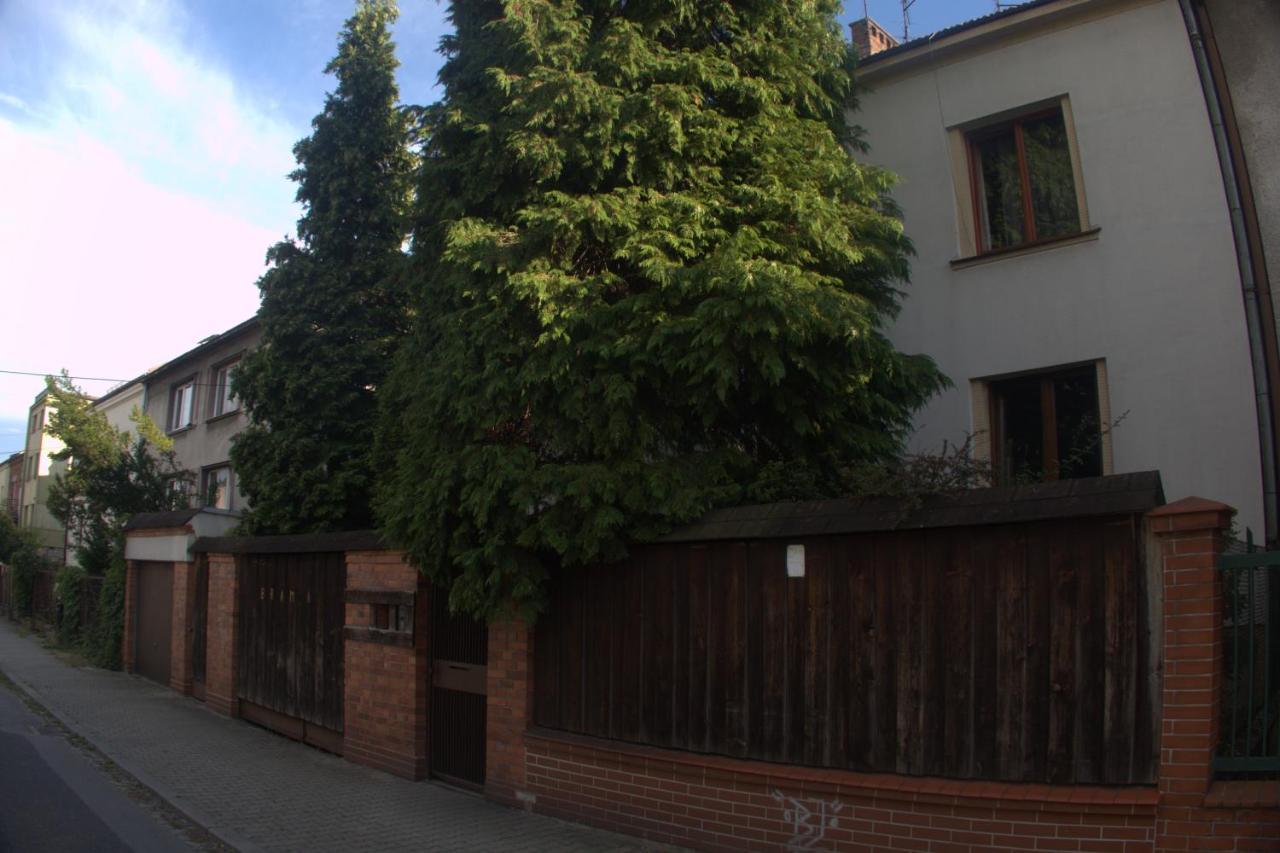 Comfort Garden View Apartment