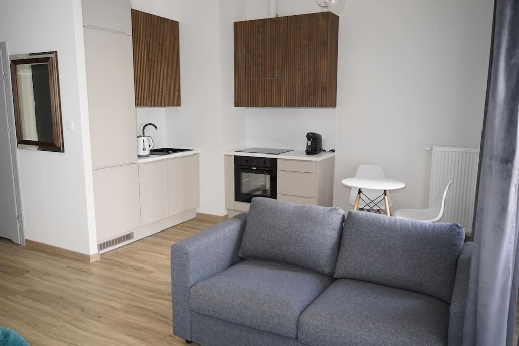 Glamorous And Modern Apartment Krakow
