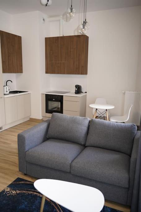 Glamorous And Modern Apartment Krakow
