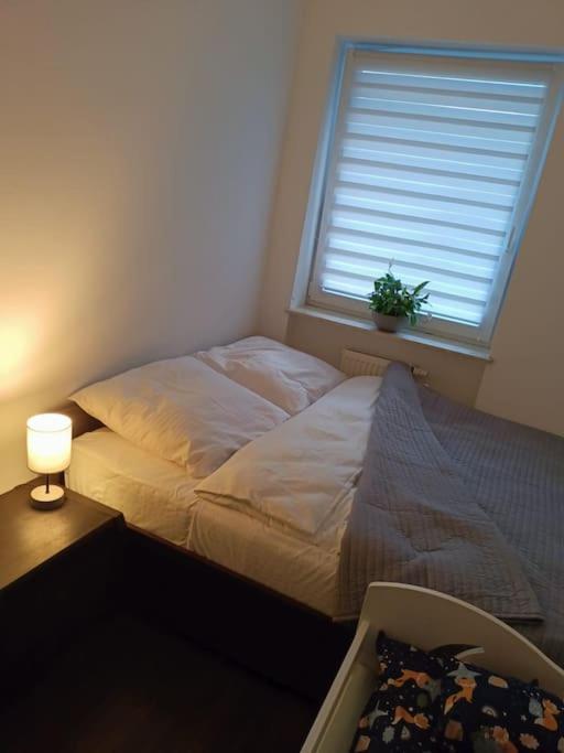 Apartamento U Oli I Laury *