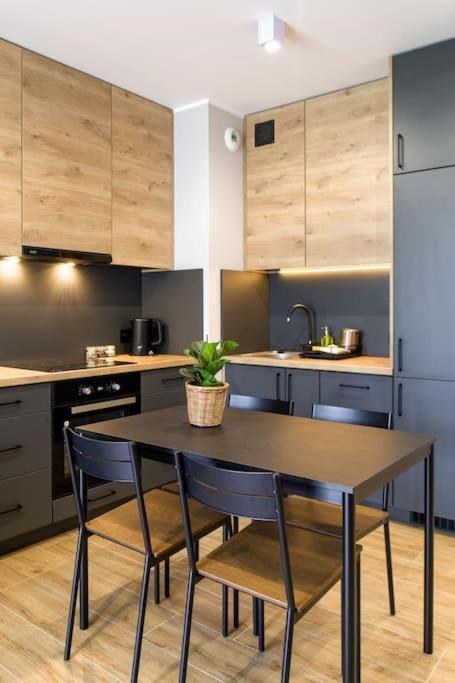 Comfortable And Spacious Oasis Appartement Krakau
