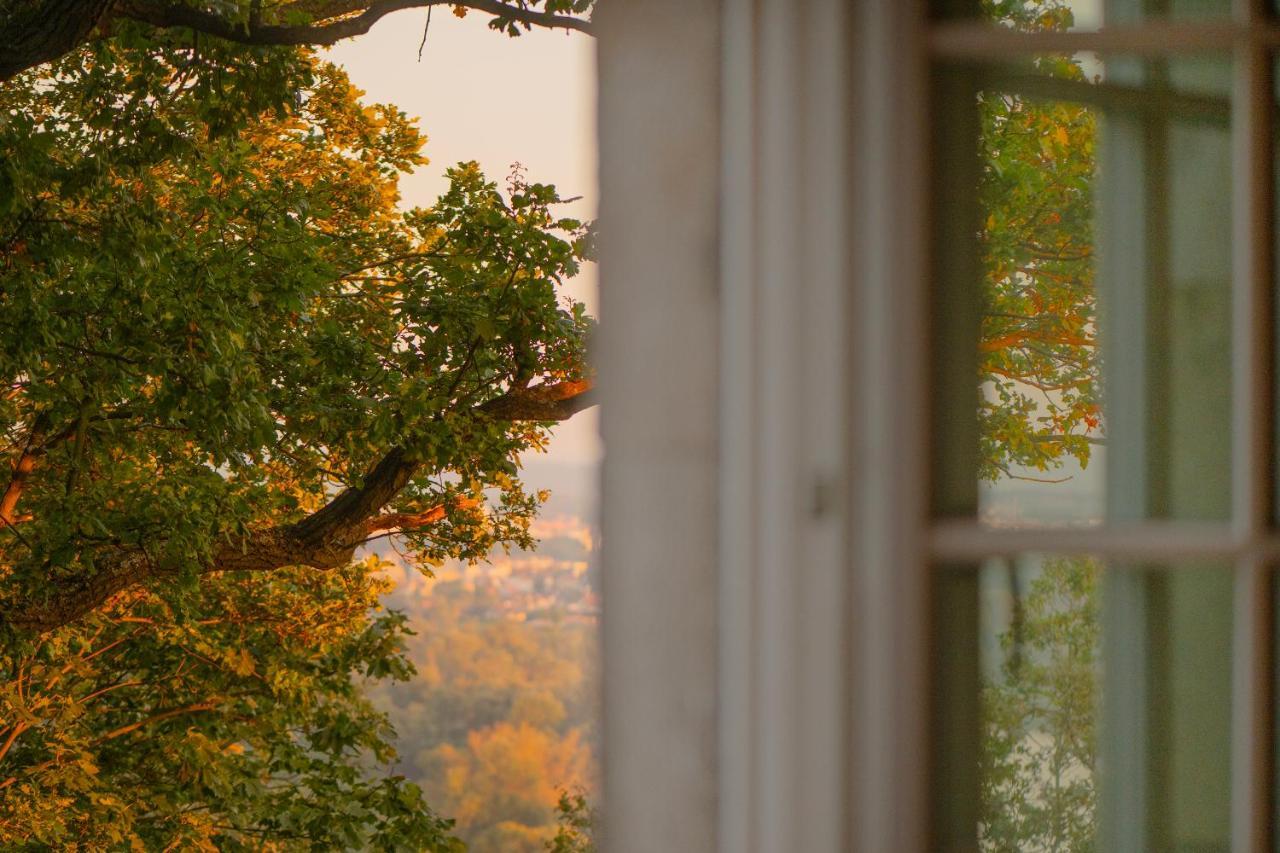 Hotel Zinar Castle