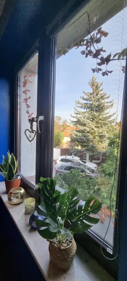 Nocleg ze śniadaniem Emerald Spa *