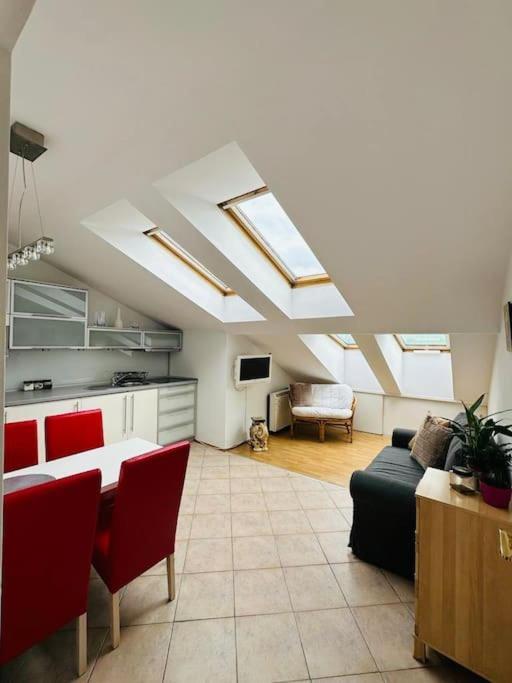 Luna Apartment