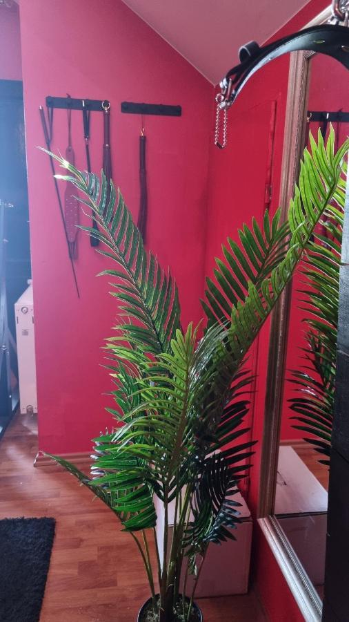 Pandora's Loft Liebeshotel