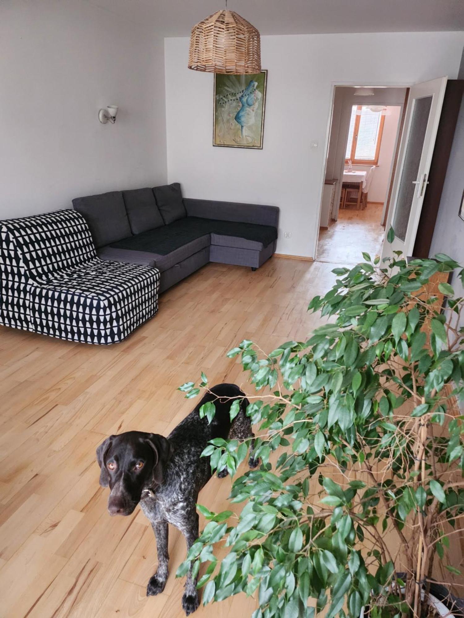 Apartamento Nature