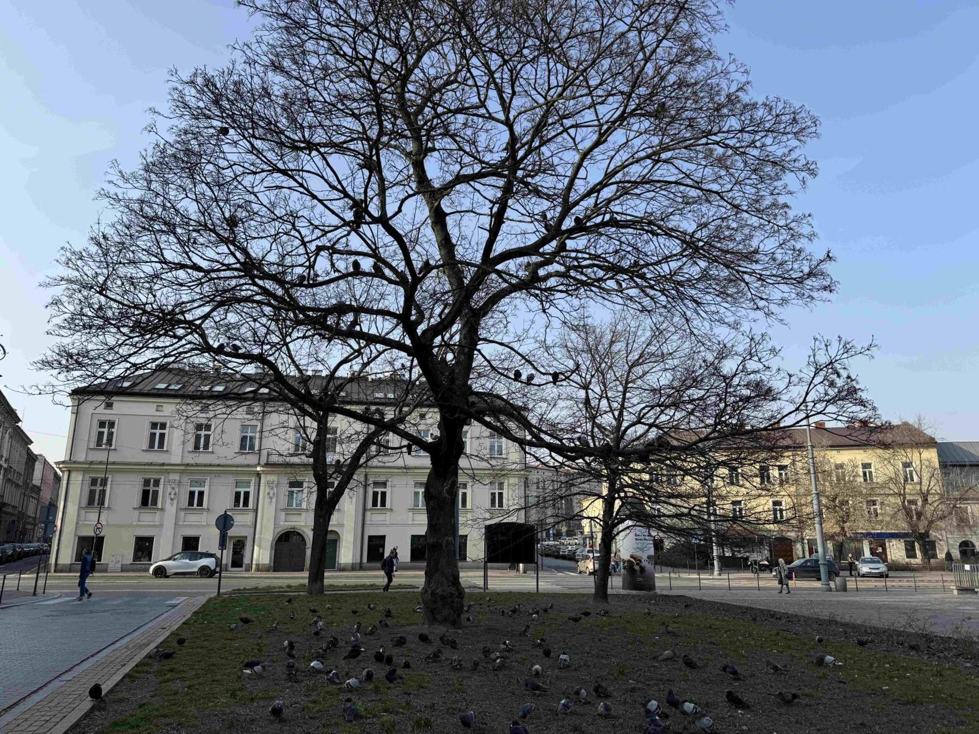 Art Stare Podgorze Free Parking * Krakow