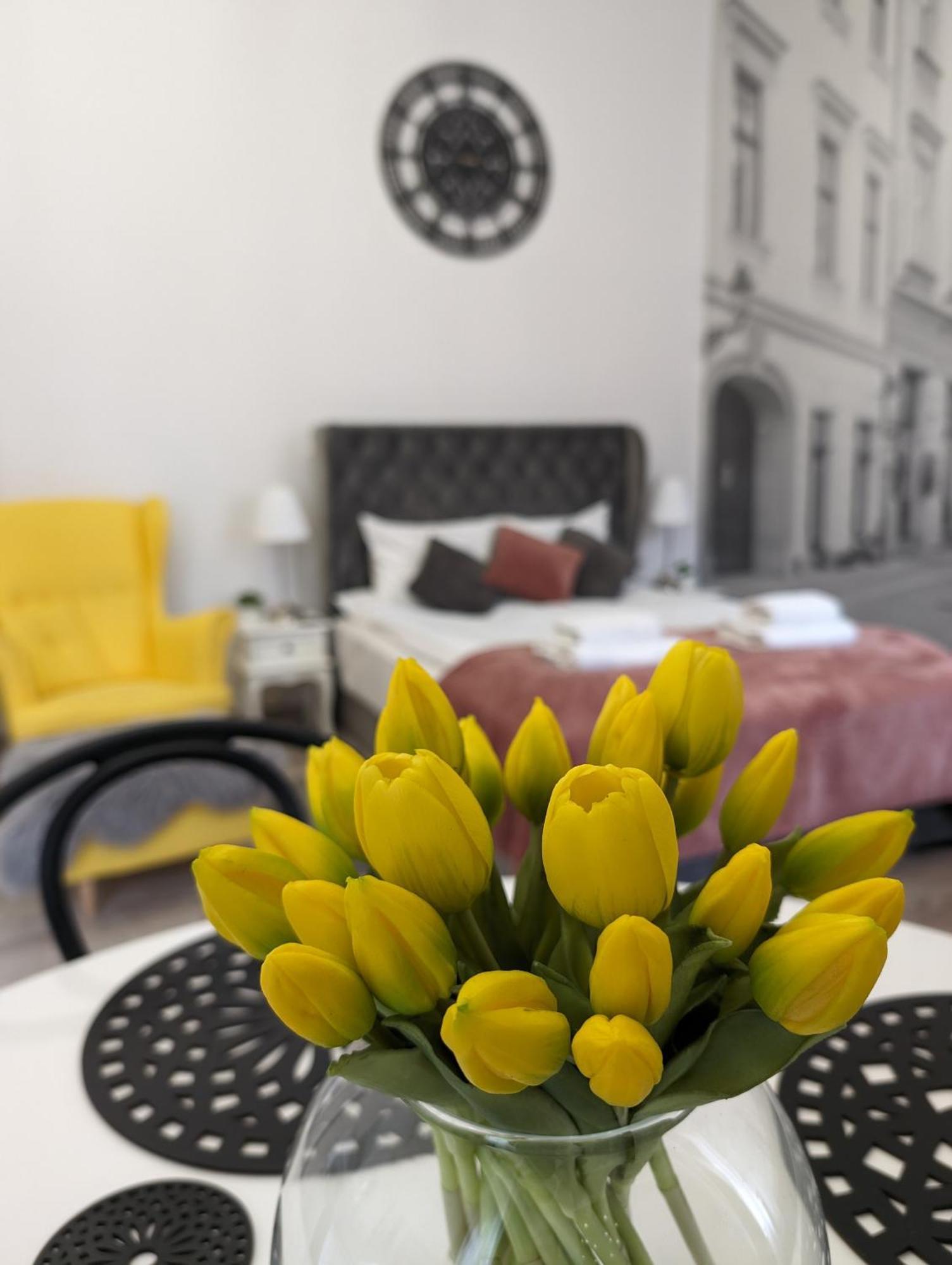 Zamstudio Zamenhofa 4 * Krakow