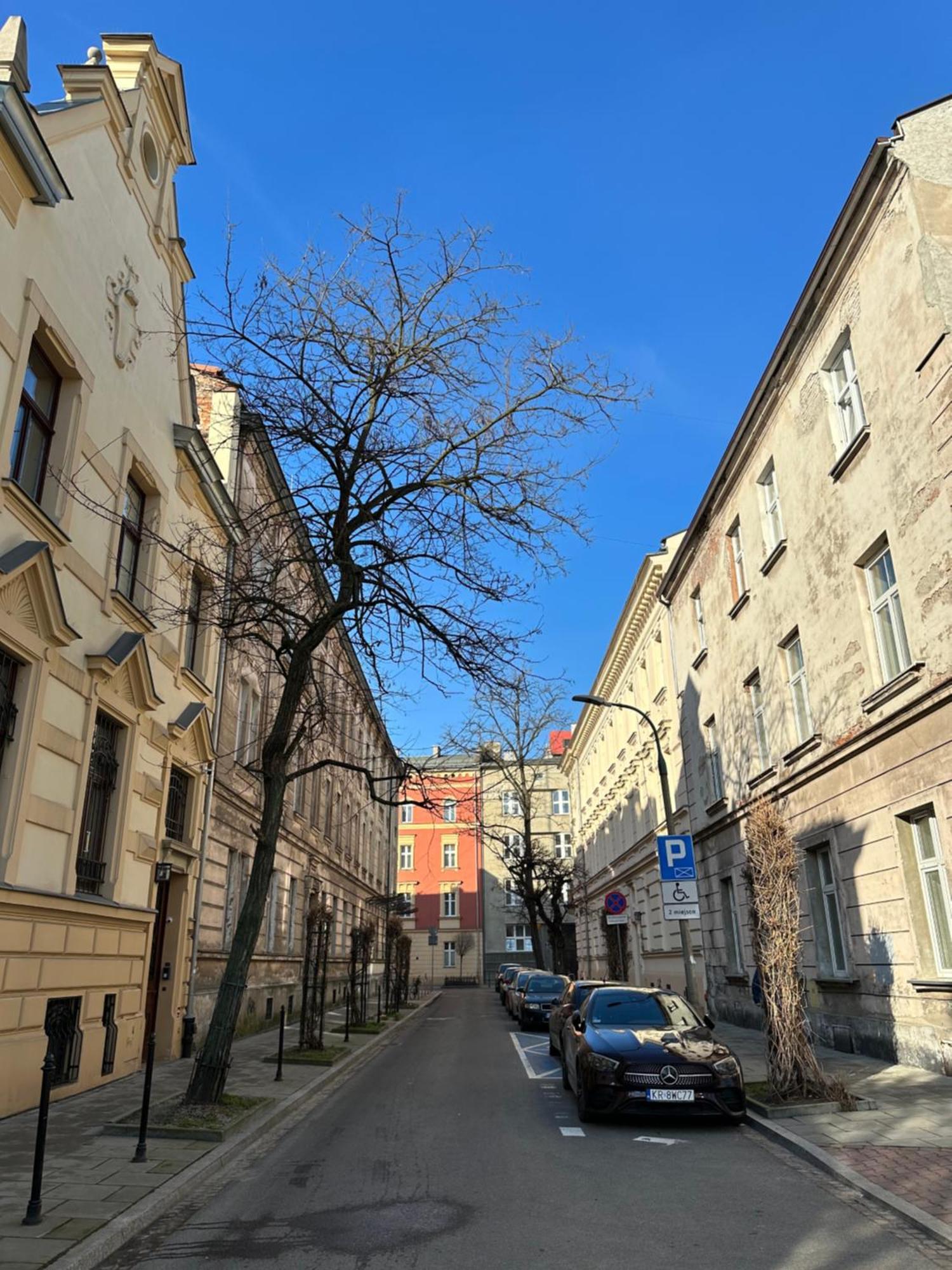Perfect Place To In City Center 18m2 W5 Krakau