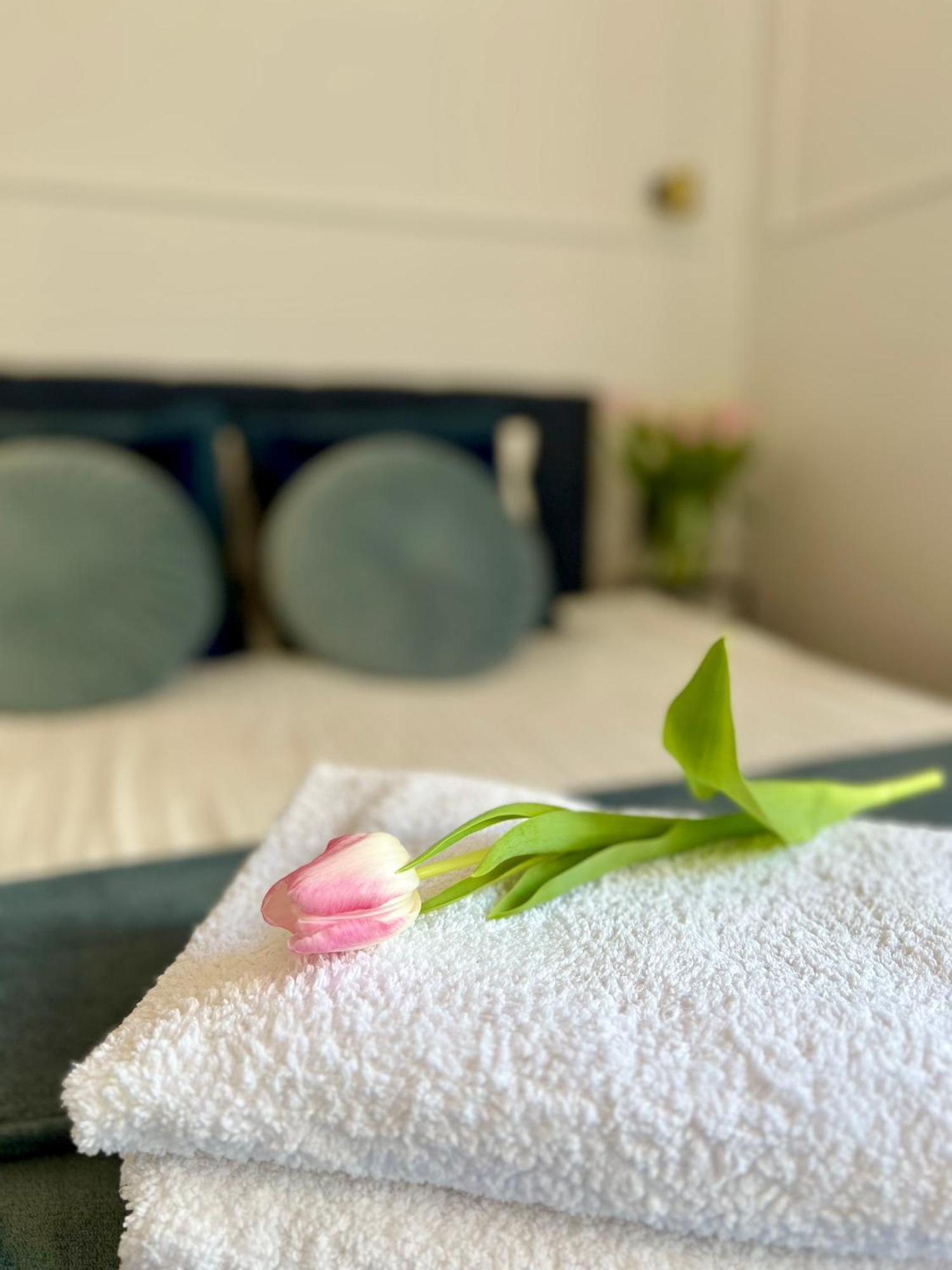 Appartement Old Town Jacuzzi - Wymeldowanie Do 13 *