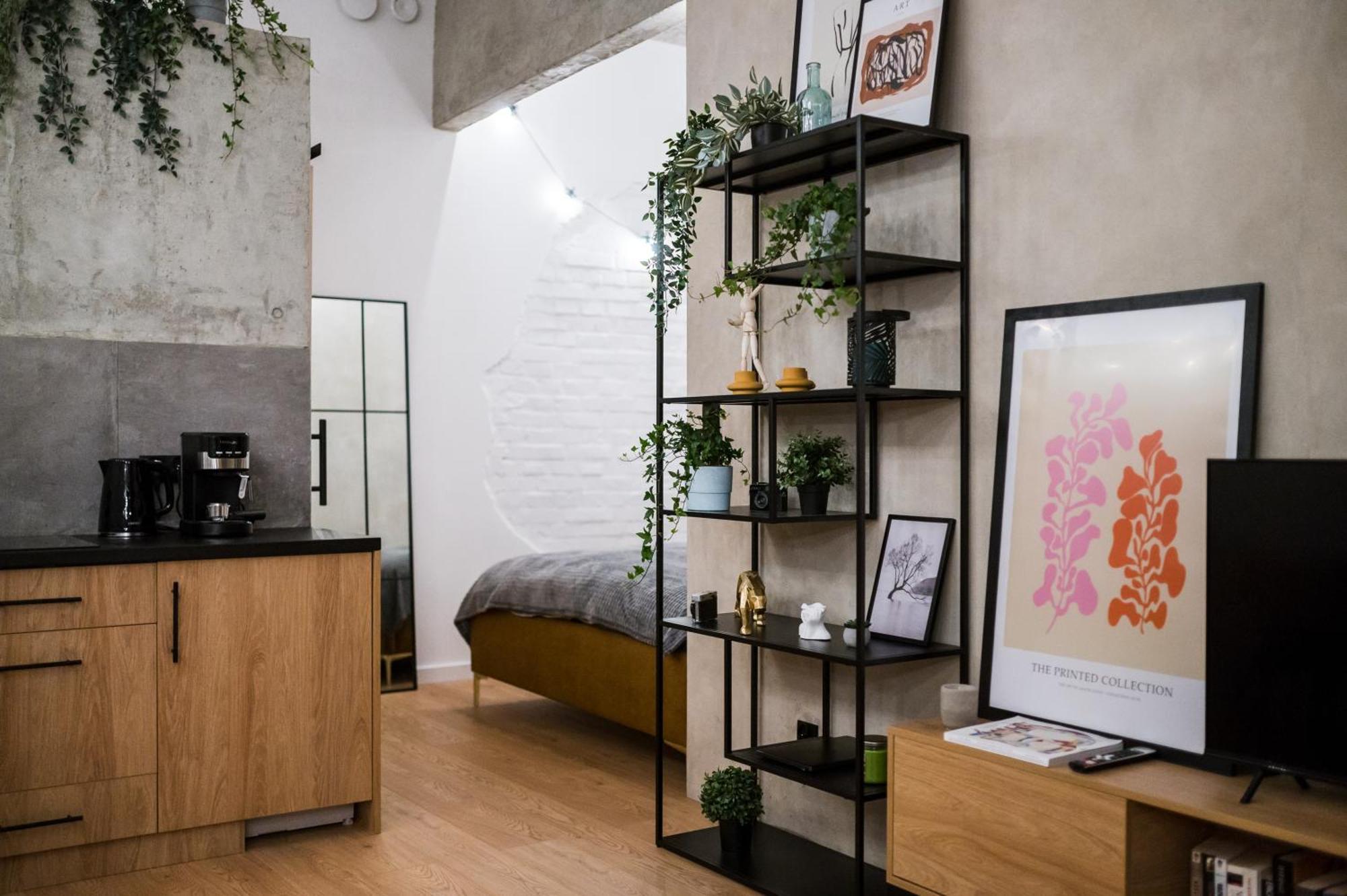Apartment D21 Art Loft Krakow