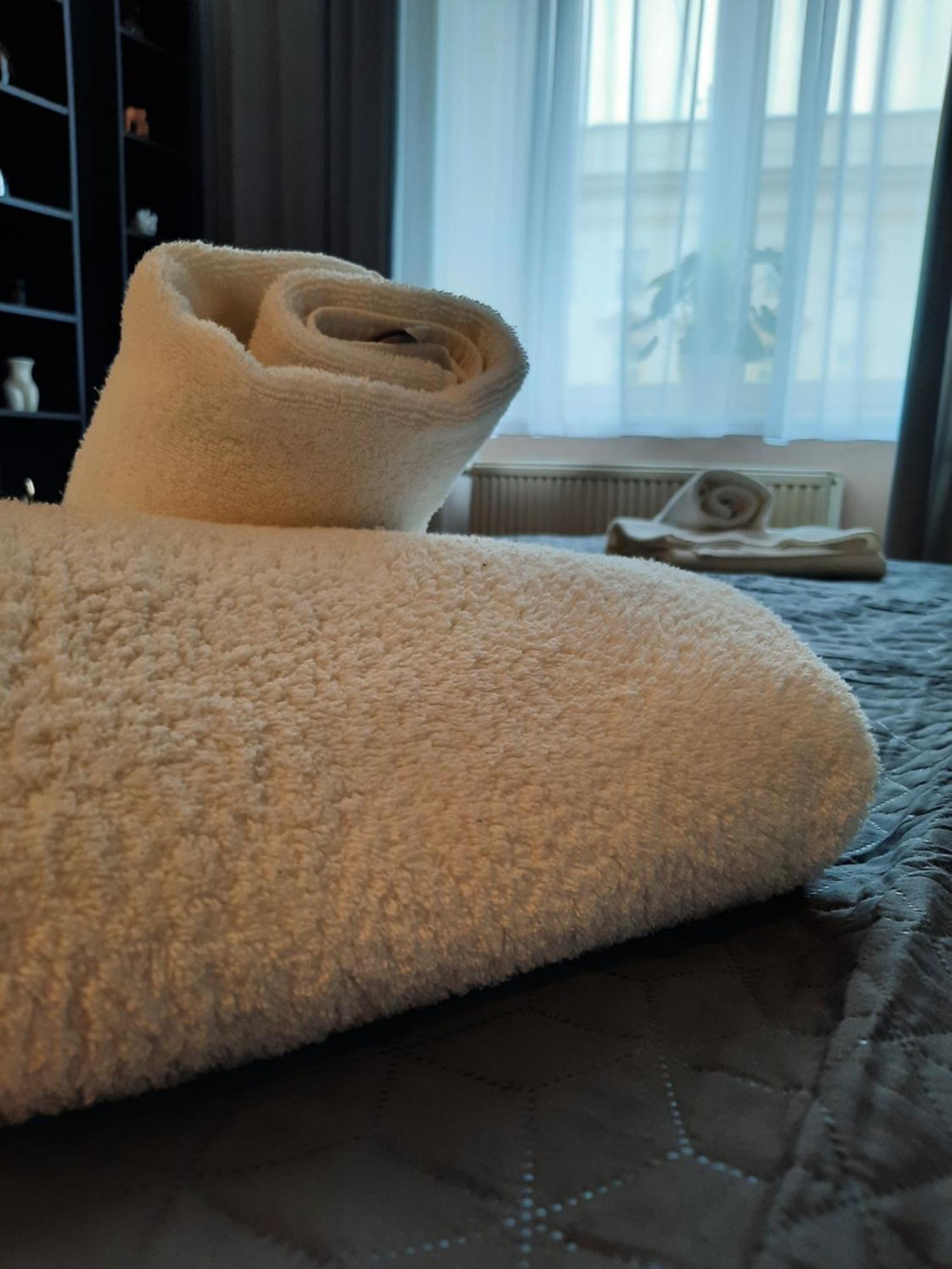 Luxury Senate Appartement Krakau