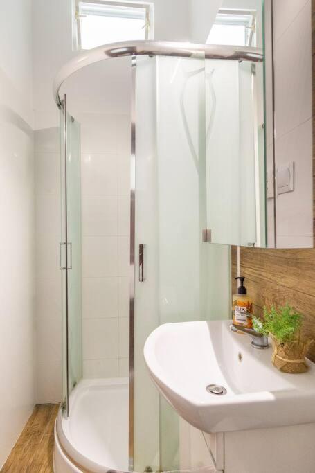 Little Star Studio Apartament *