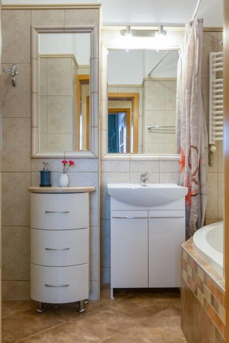 Domus Krakowski 3-bedroom Apt. Apartment Krakow