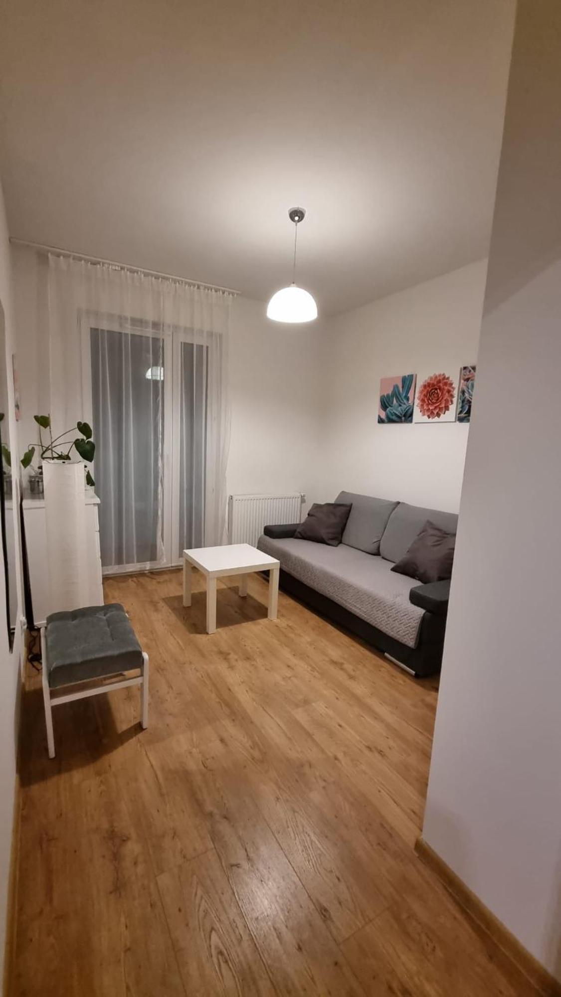 Apartment Chihuahua_apartaments Krakow