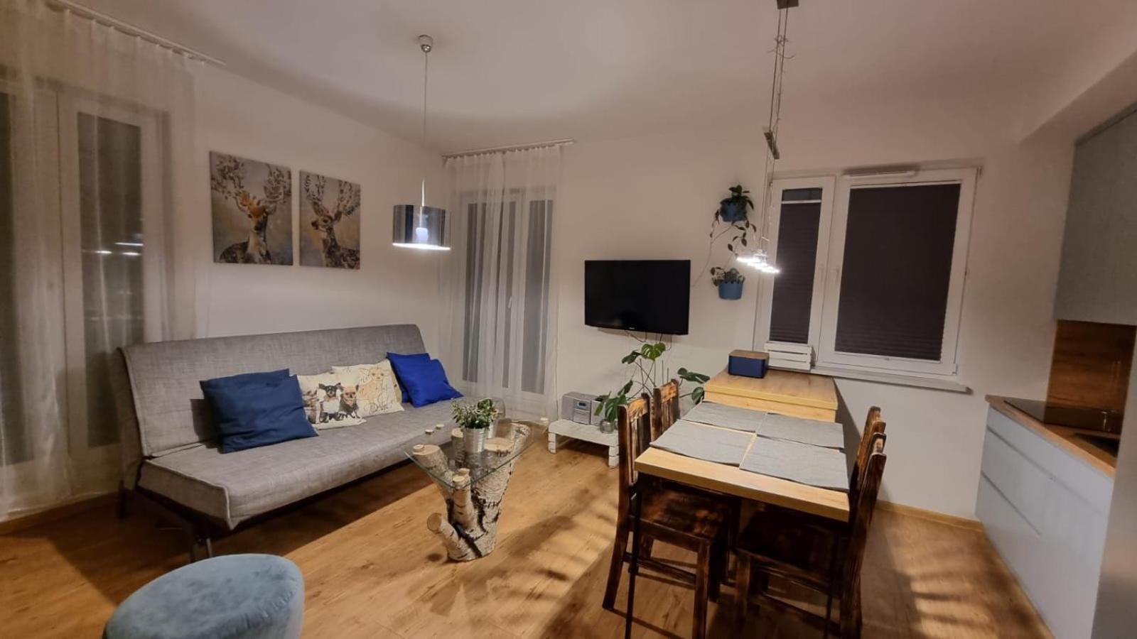 Chihuahua_apartaments