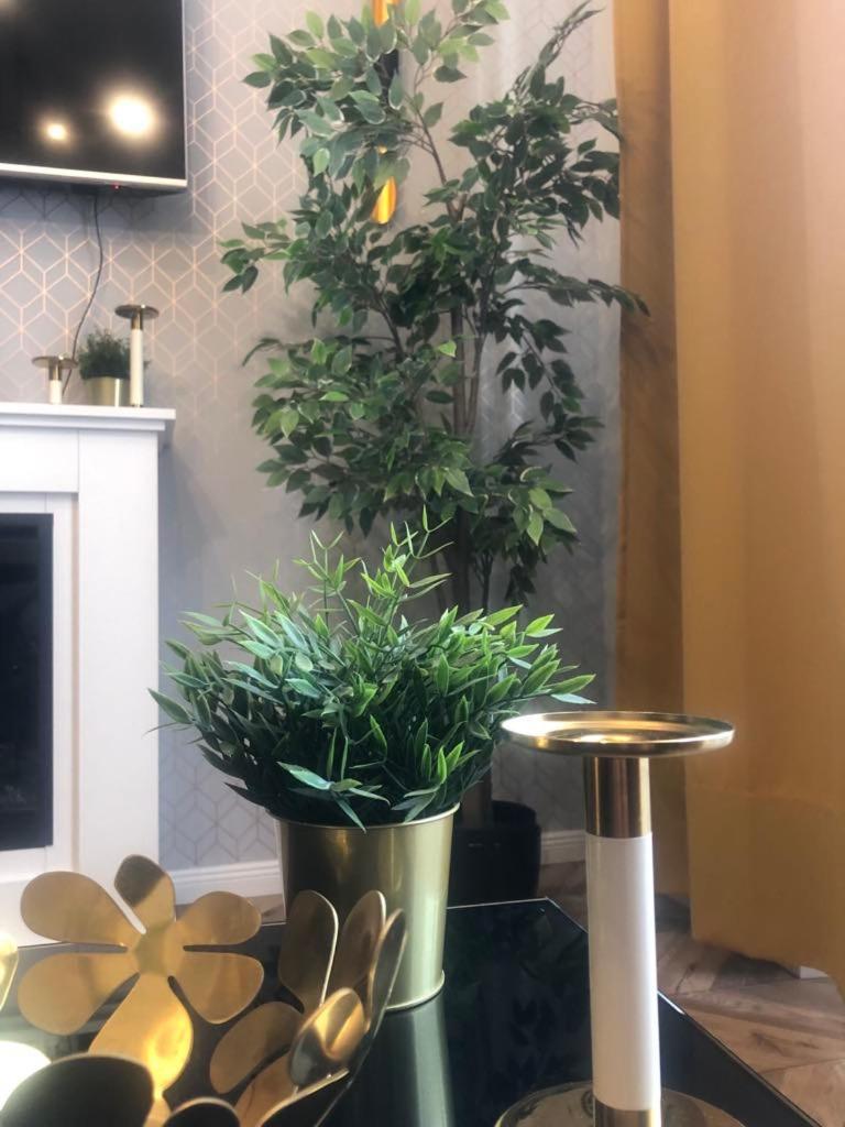 Apartment Glamorous Old Town Cracow Krakow