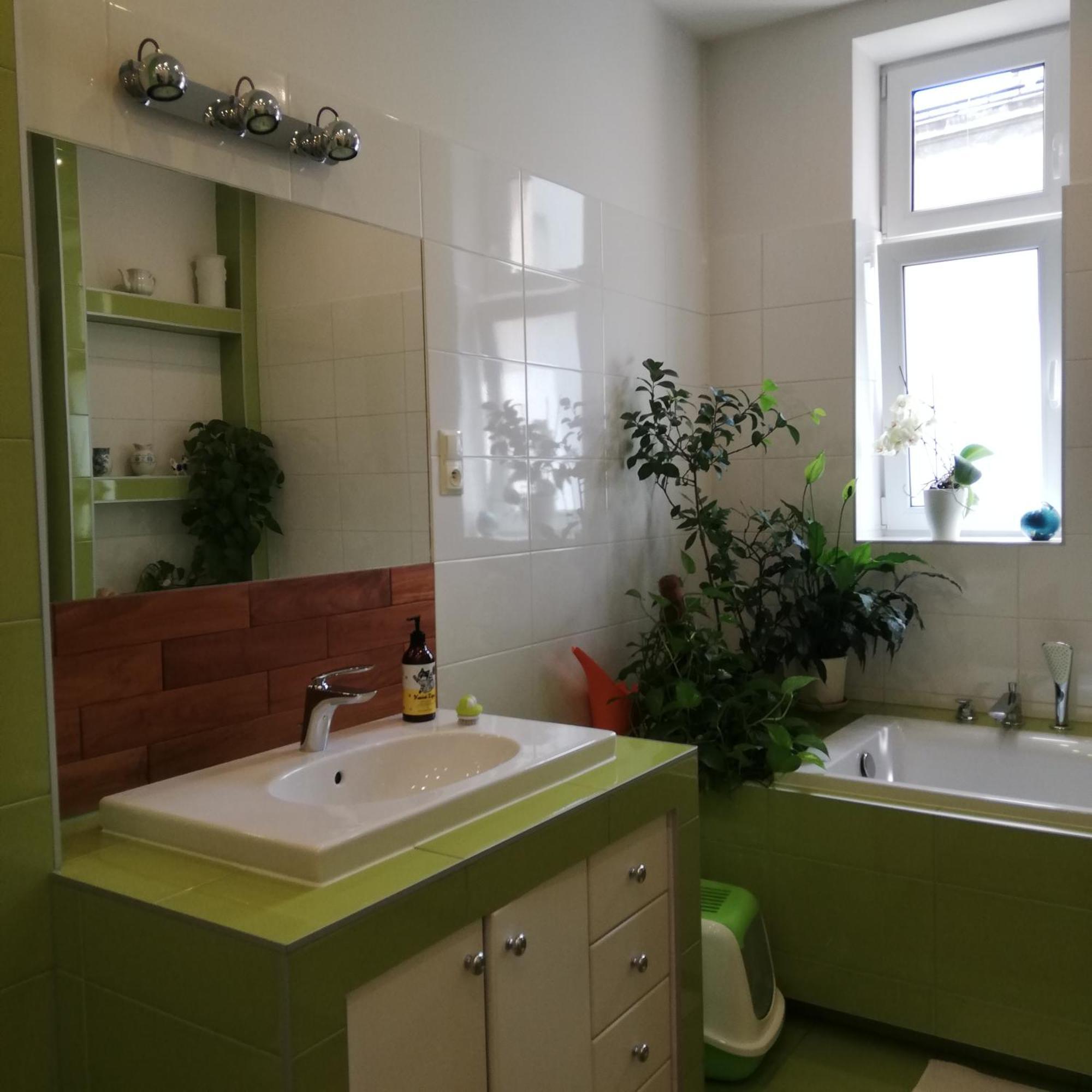 Botaniczny